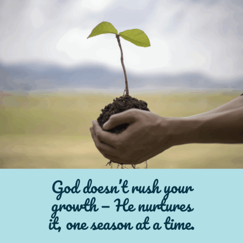 God doesn’t rush your growth — He nurtures it, one season at a time.